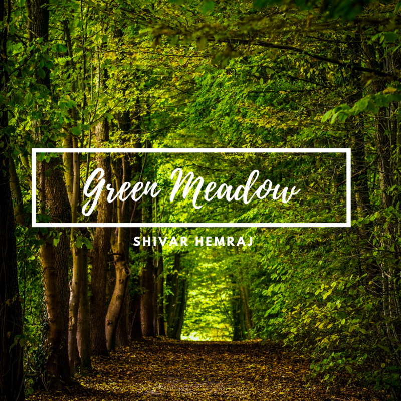 Green Meadow
