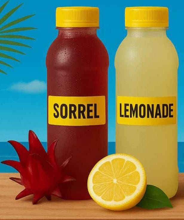 Tamarind, Gooseberry, Sorrel, Lemonade, Golden Apple Juice (1/2 Gallon)