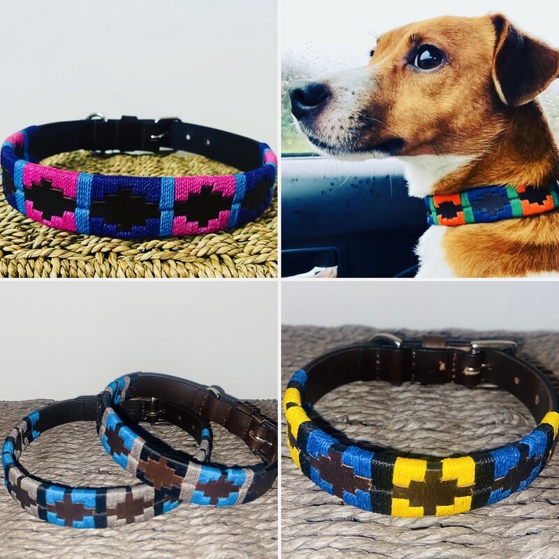 Bespoke Polo Dog Collars - Made to Order