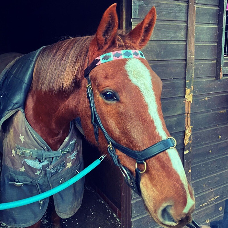 Bespoke Polo Browbands - Made to Order