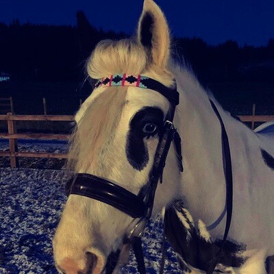 Bespoke Polo Browbands - Made to Order