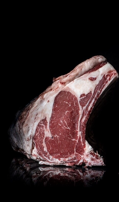 Vaca Danesa