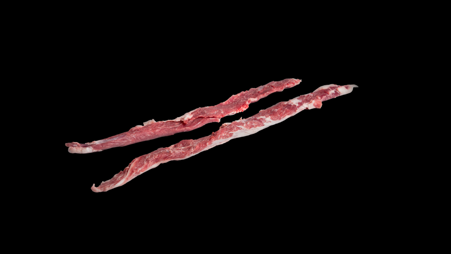LAGARTO IBERICO