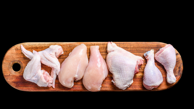 POLLO