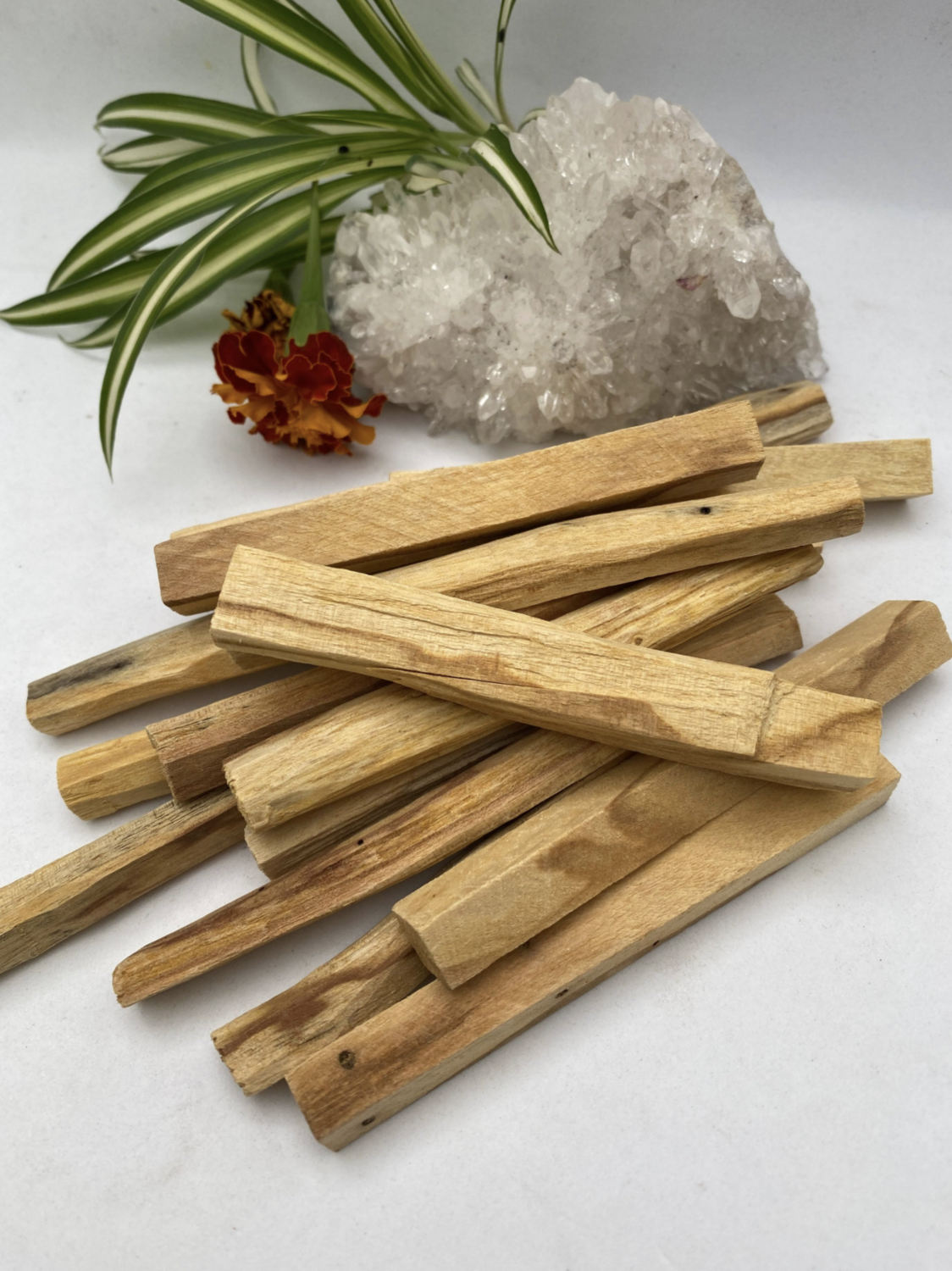 Palo Santo - Natural Wood Incense Pack of 4 small sticks