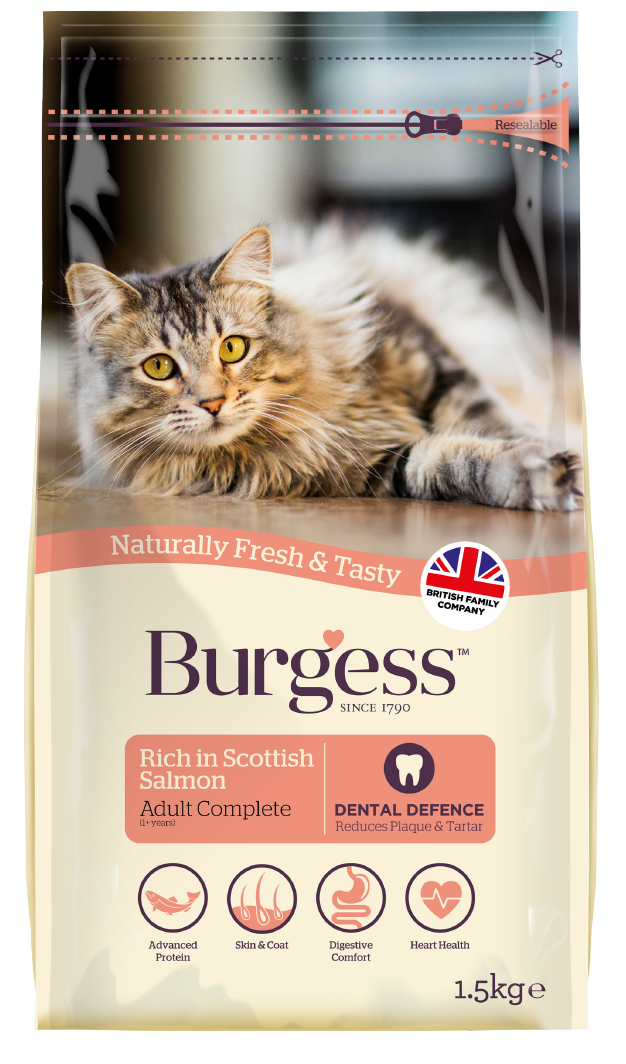 Burgess Adult Cat Scottish Salmon