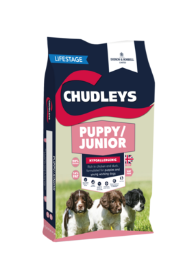 Chudleys Puppy/Junior
