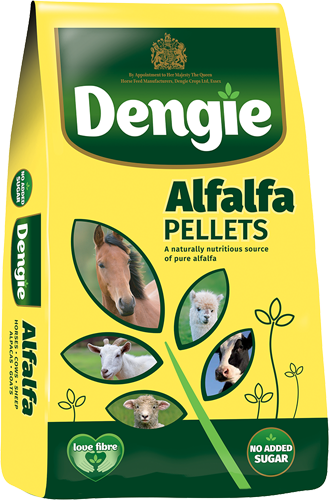 Dengie Alfalfa Pellets 20kg