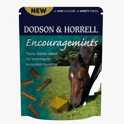 Dodson & Horrell Encouragemints 750g