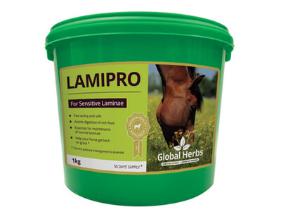 Global Herbs LamiPro 1kg
