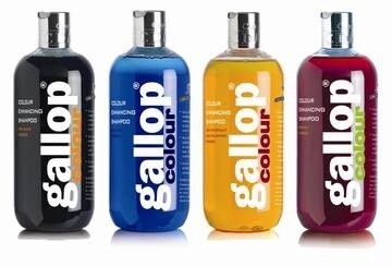 Gallop Colour Shampoo 500Ml