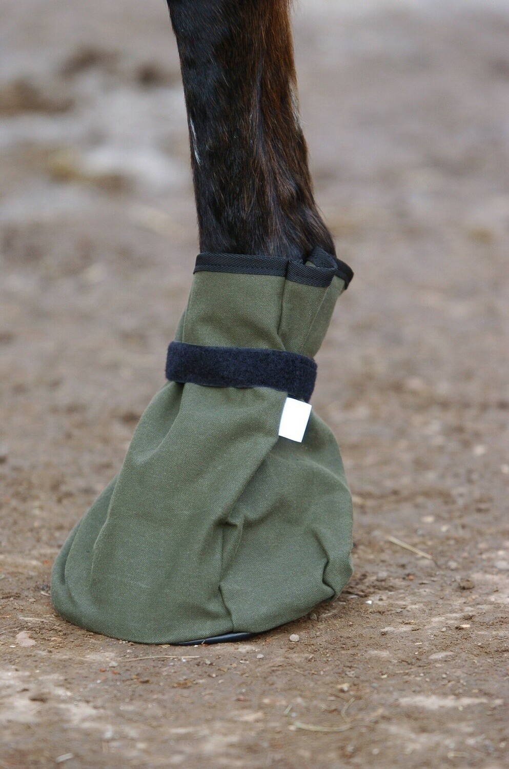 IV Horse Poultice Boot