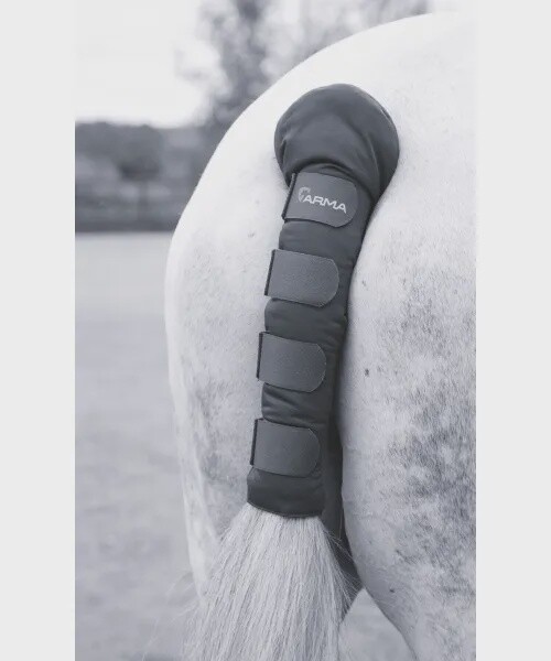 Shires Padded Tail Guard, Colour: Black