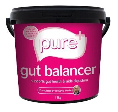 Pure+ Gut Support 815g