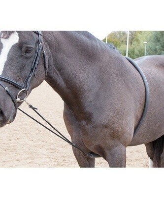 Soft Lunging Aid