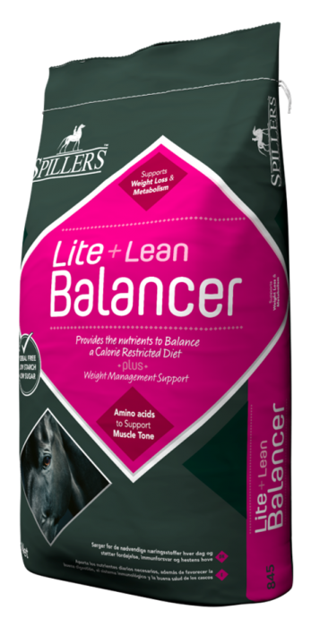 Spillers Lite N Lean Balancer