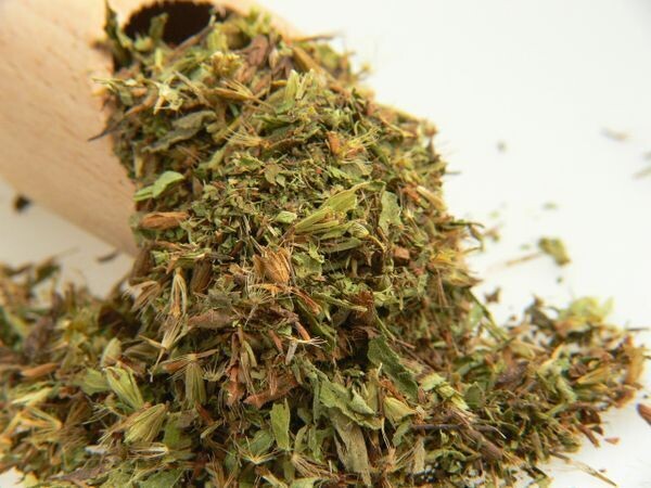 Stevia