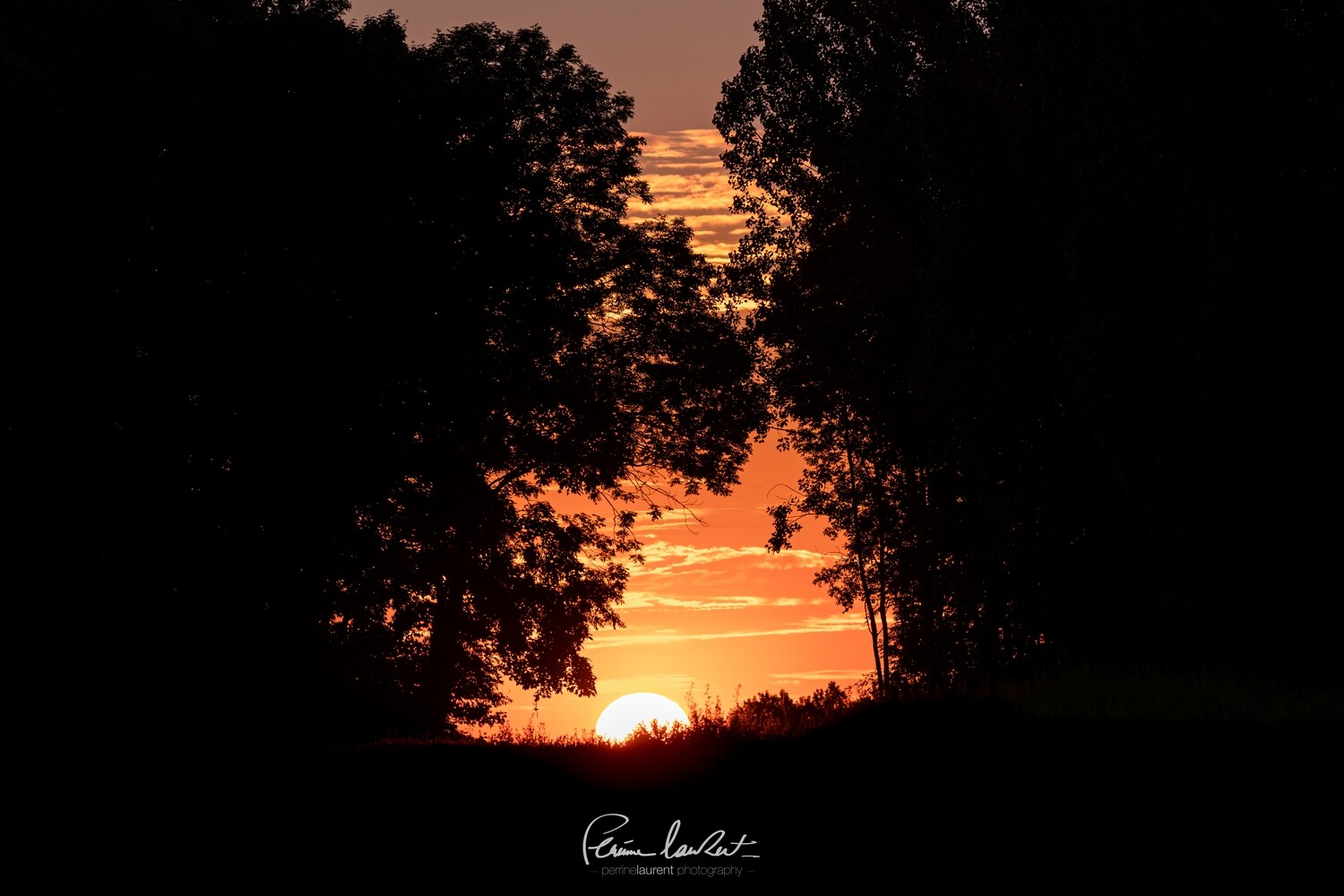 Série SUN_2