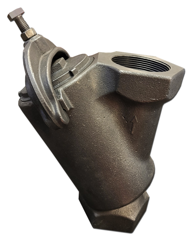 Complete &quot;Y&quot; Strainer Assembly