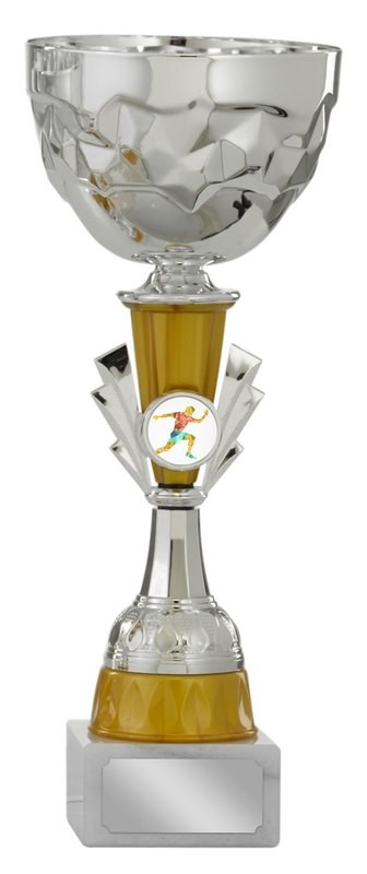 Pokal Soltau 26cm hoch