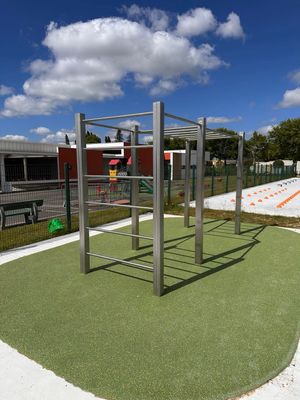 Module de Street Workout en Acier Inoxydable