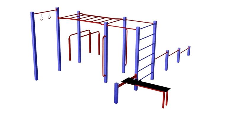 Module de Street Workout en Acier peint ou Acier Inoxydable