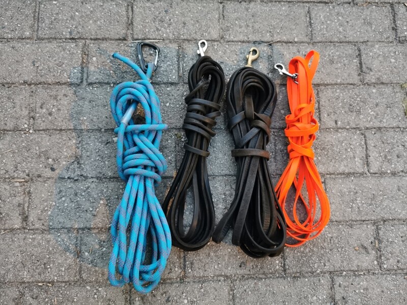 Leinenhandling Workshop