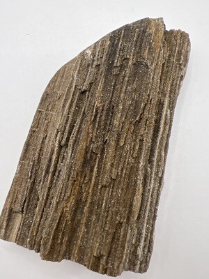Fossilised Wood with Druzy Crystals “Fairy Wood”