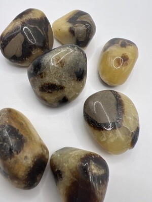 Septarian Nodule Tumble Stone - A Grade