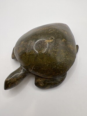 Petrified Wood Carved Turtle Fossil