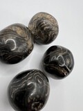 Stromatolite Tumble Stone