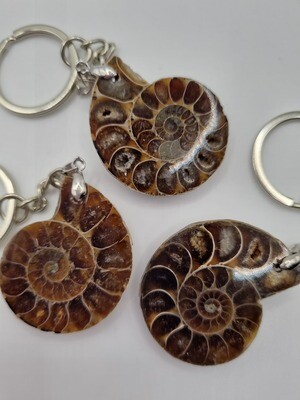 Ammonite Fossil Keyring