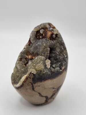 Dragon Stone Egg - Septarian Nodule - 2