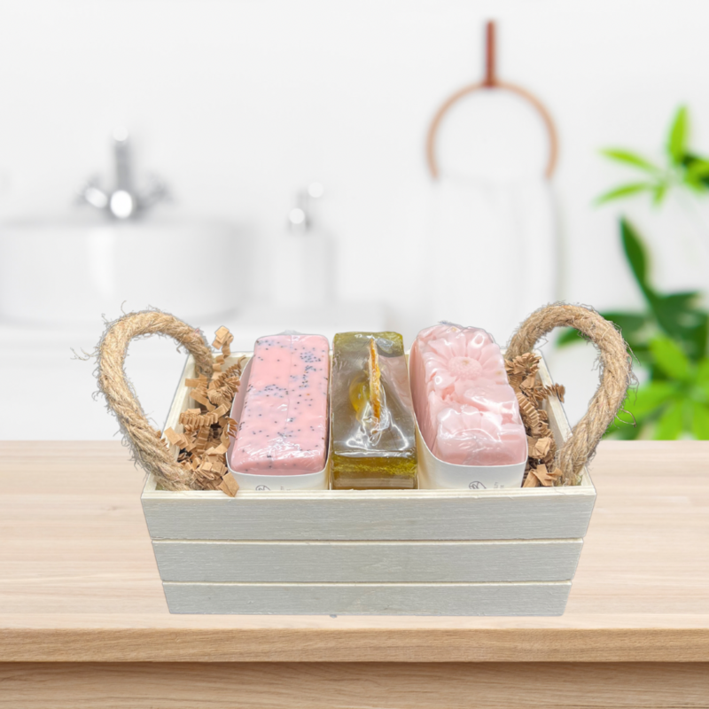 Delafee Sudsy Treasure Set