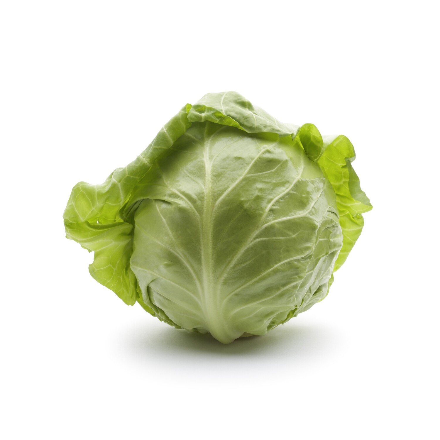 Green Cabbage
