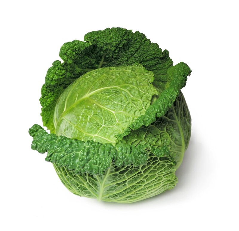 Savoy Cabbage