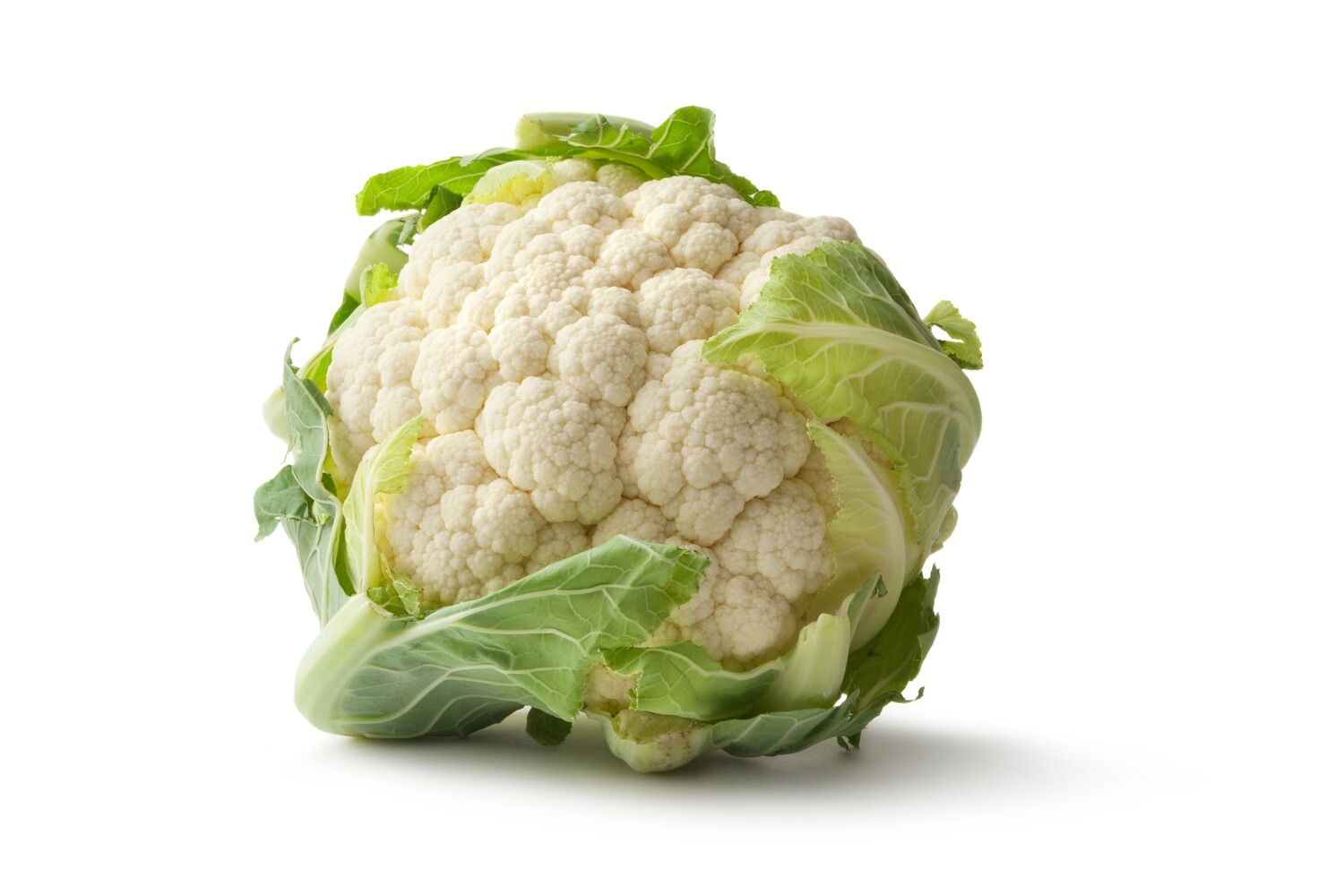 White Cauliflower