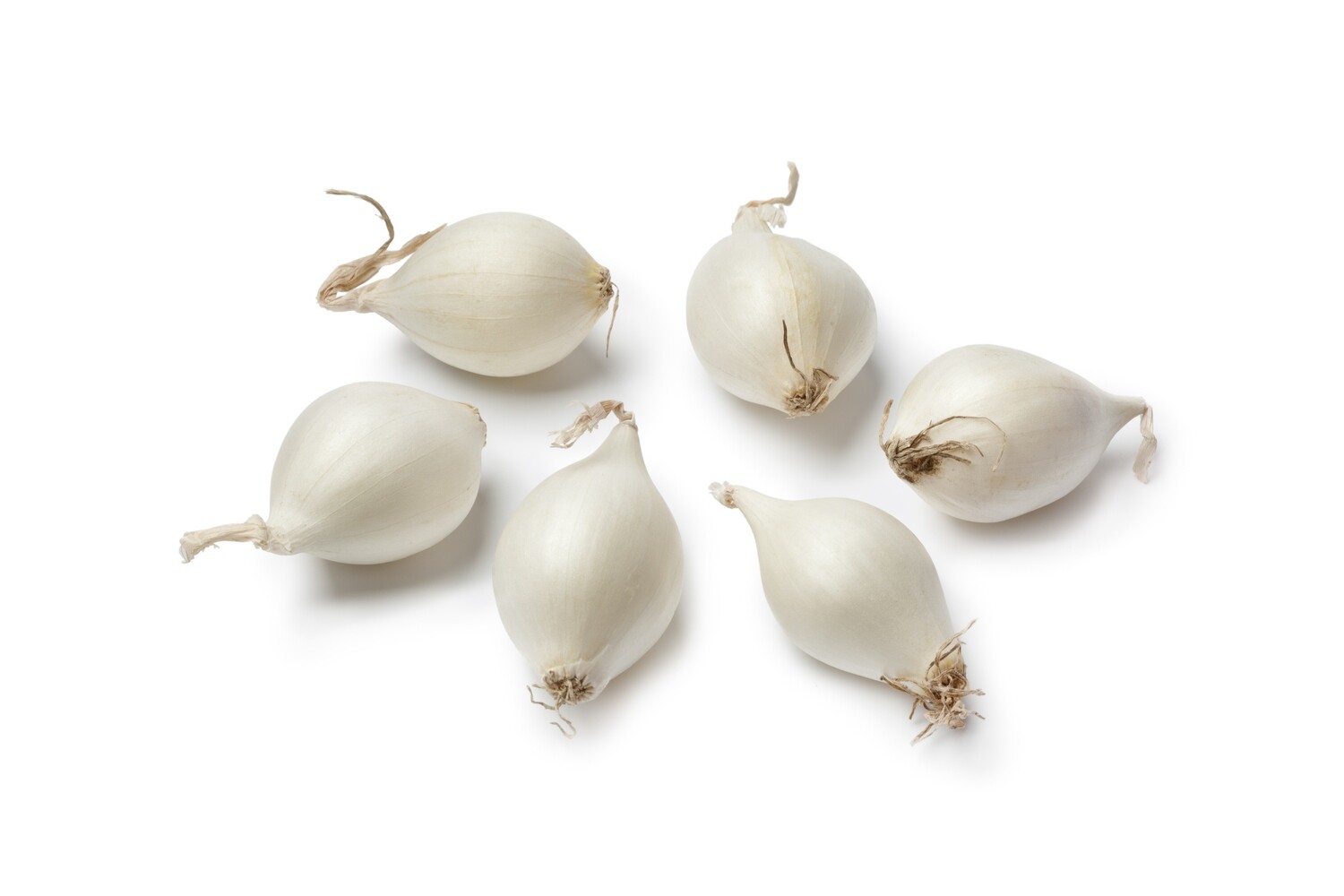 Pearl Onions