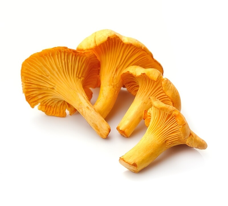 Chanterelle Mushrooms