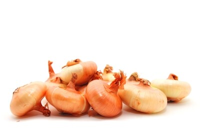 Cipollini Onions