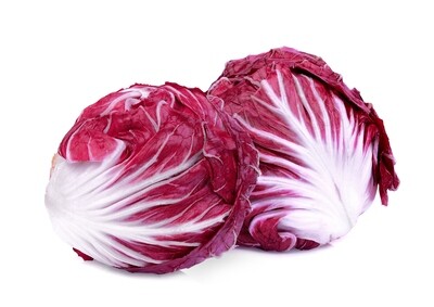 Red Radicchio