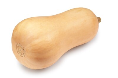 Butternut Squash