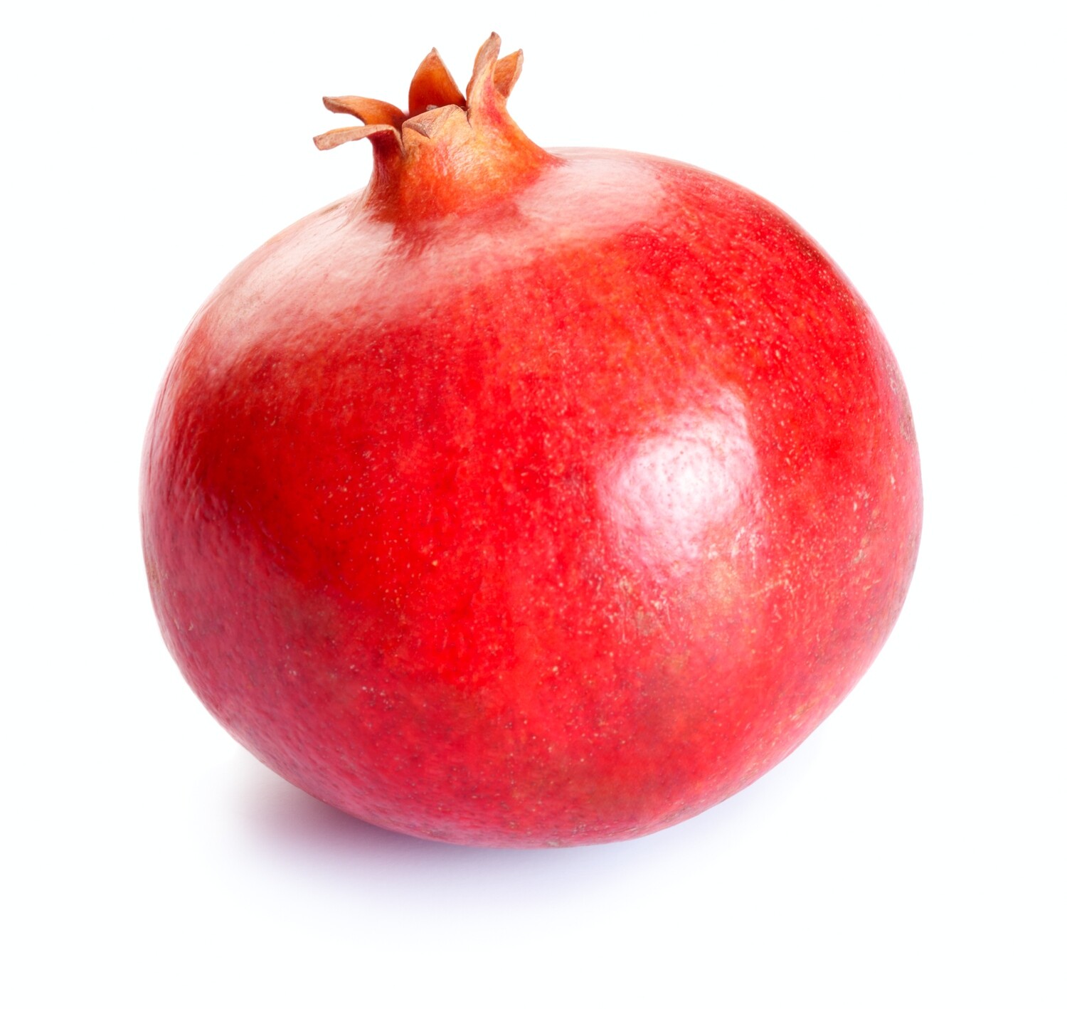 Pomegranate, Large