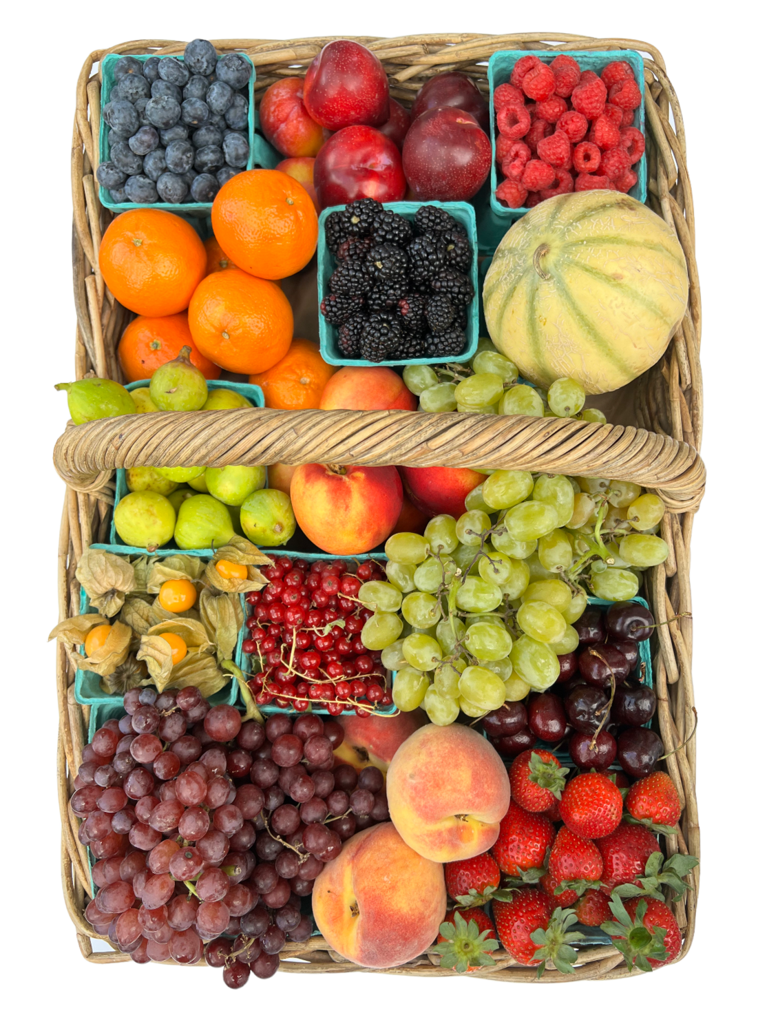 Fantastic Fruit 