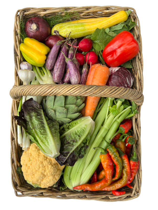 Vegetable Variety