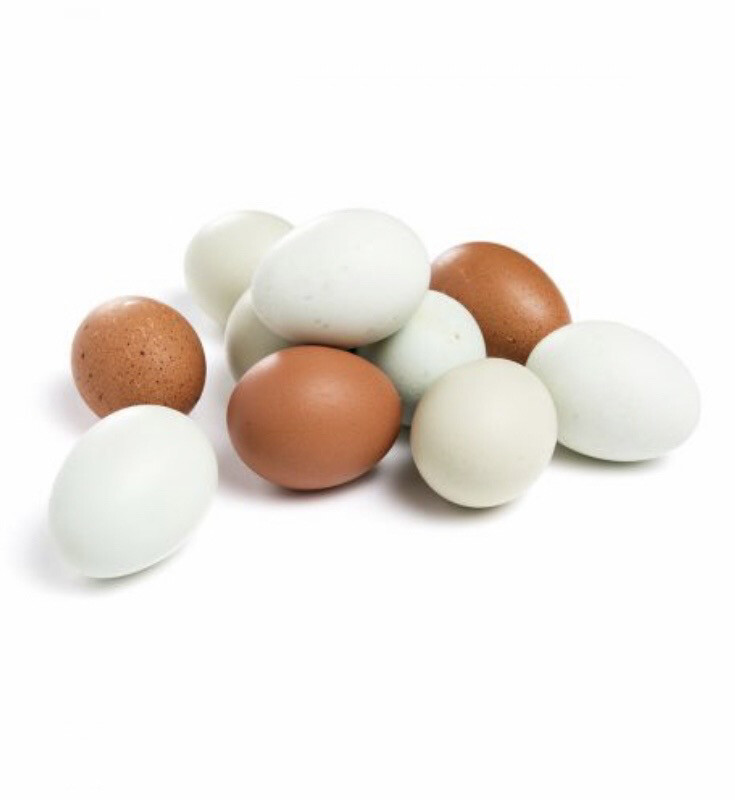 Pastured Heirloom Blue/Brown Eggs