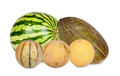 Melons