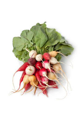 Radishes