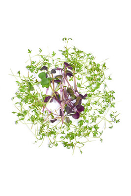 Microgreens