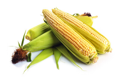 Corn